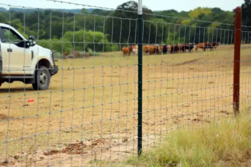 Hinge-Joint Field Fence