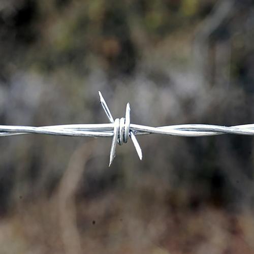 4-point-barb-1