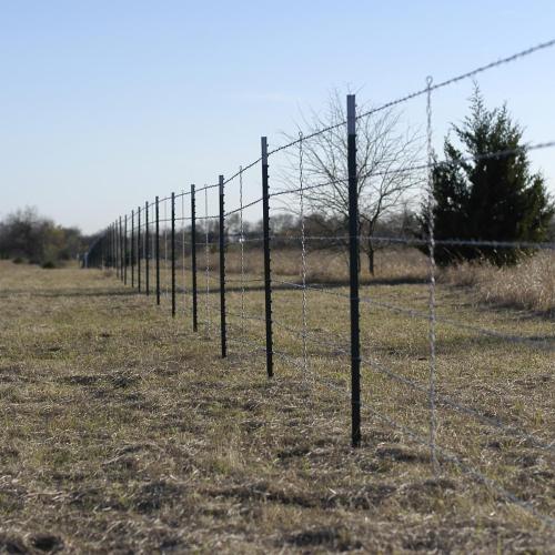 BARBED-WIRE-1-1