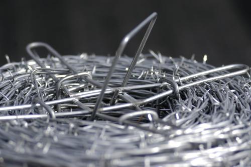 Barbed Wire Close up