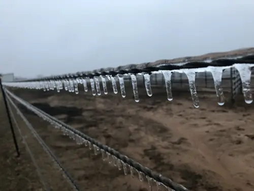 Barbless Wire with ice