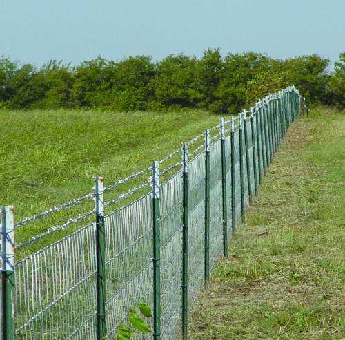 High Tensile Barbed Wire Photo (1)