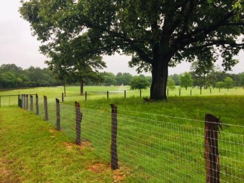 Max-Tight Horse Fence
