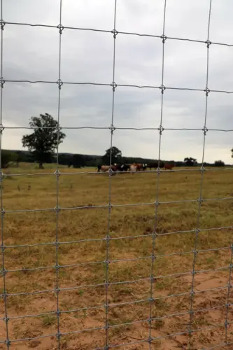 Max Loc HT Fence