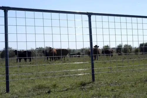 Cattle Panel - Panel Hinge