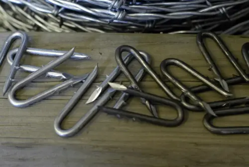fence-staples
