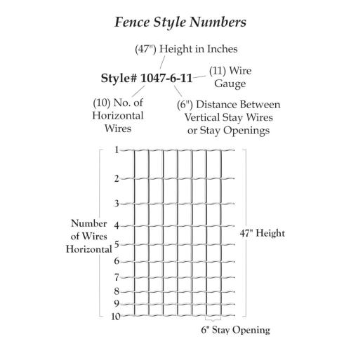 how-to-read-ff