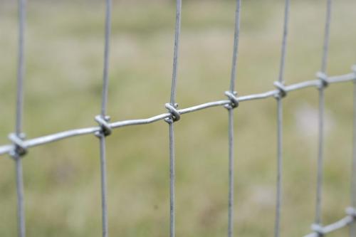 max-tight-knot-scaled
