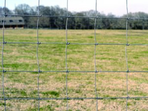 premium_sheep_goat_fence_photo_01-300x225-1